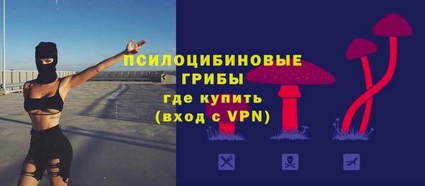 спиды Алзамай